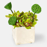 VASO PER FIORI SMALL - VALSECCHI MARMI